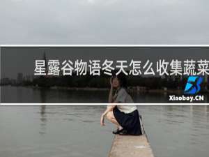 星露谷物语冬天怎么收集蔬菜