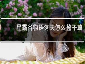 星露谷物语冬天怎么整干草