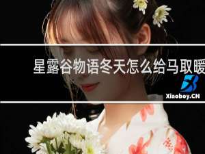 星露谷物语冬天怎么给马取暖