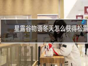 星露谷物语冬天怎么获得松露