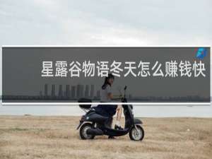 星露谷物语冬天怎么赚钱快