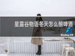 星露谷物语冬天怎么酿啤酒