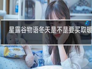 星露谷物语冬天是不是要买取暖器