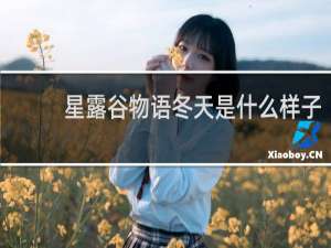 星露谷物语冬天是什么样子