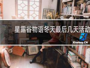 星露谷物语冬天最后几天活动