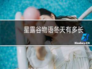 星露谷物语冬天有多长