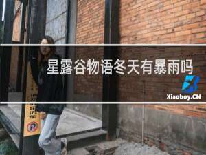 星露谷物语冬天有暴雨吗