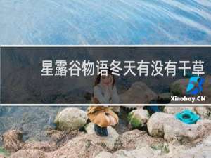 星露谷物语冬天有没有干草