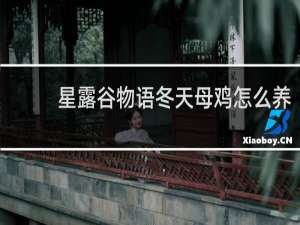 星露谷物语冬天母鸡怎么养