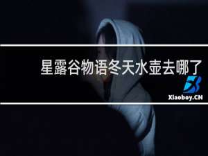 星露谷物语冬天水壶去哪了