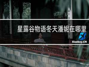 星露谷物语冬天潘妮在哪里