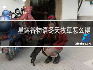 星露谷物语冬天牧草怎么得