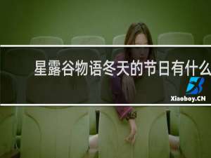 星露谷物语冬天的节日有什么