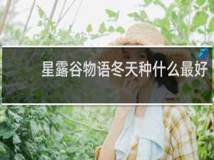 星露谷物语冬天种什么最好