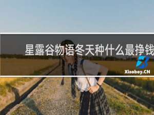 星露谷物语冬天种什么最挣钱