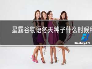 星露谷物语冬天种子什么时候种