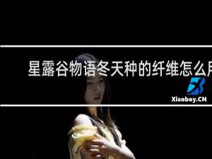 星露谷物语冬天种的纤维怎么用