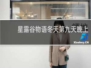星露谷物语冬天第九天晚上