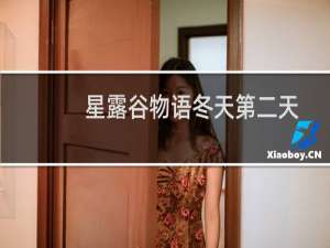 星露谷物语冬天第二天