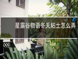 星露谷物语冬天粘土怎么弄