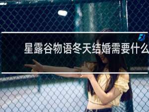 星露谷物语冬天结婚需要什么