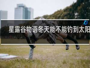 星露谷物语冬天能不能钓到太阳鱼