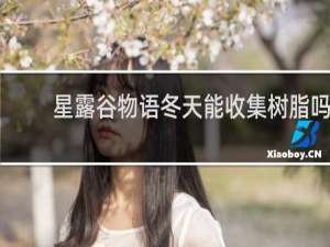 星露谷物语冬天能收集树脂吗