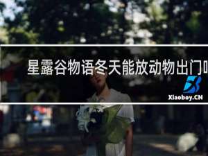 星露谷物语冬天能放动物出门吗