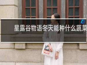 星露谷物语冬天能种什么蔬菜