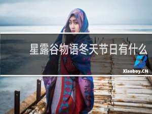 星露谷物语冬天节日有什么