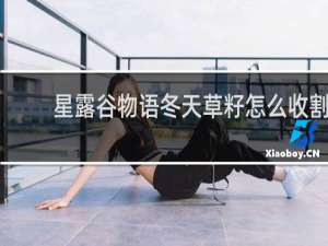 星露谷物语冬天草籽怎么收割