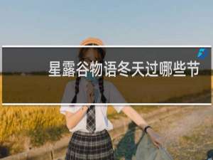 星露谷物语冬天过哪些节