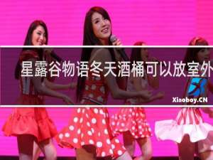 星露谷物语冬天酒桶可以放室外吗