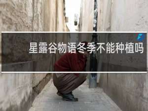 星露谷物语冬季不能种植吗