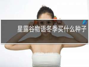 星露谷物语冬季买什么种子
