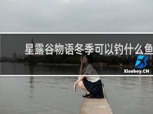 星露谷物语冬季可以钓什么鱼
