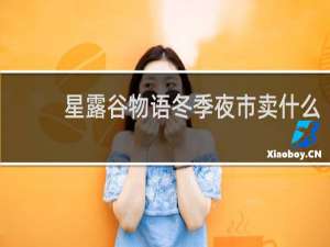 星露谷物语冬季夜市卖什么