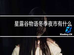星露谷物语冬季夜市有什么