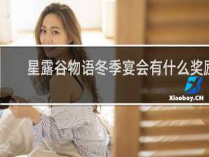 星露谷物语冬季宴会有什么奖励