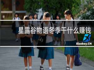 星露谷物语冬季干什么赚钱