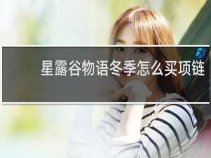 星露谷物语冬季怎么买项链