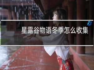 星露谷物语冬季怎么收集