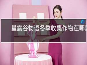 星露谷物语冬季收集作物在哪里