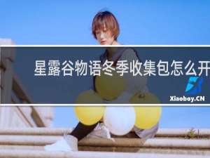星露谷物语冬季收集包怎么开