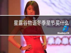 星露谷物语冬季星节买什么