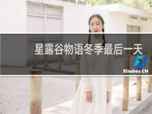 星露谷物语冬季最后一天