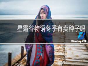 星露谷物语冬季有卖种子吗