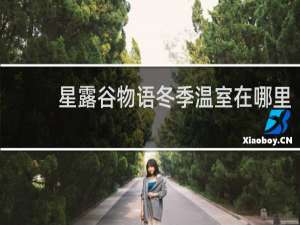 星露谷物语冬季温室在哪里