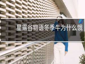 星露谷物语冬季牛为什么饿