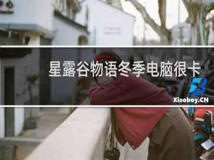 星露谷物语冬季电脑很卡
